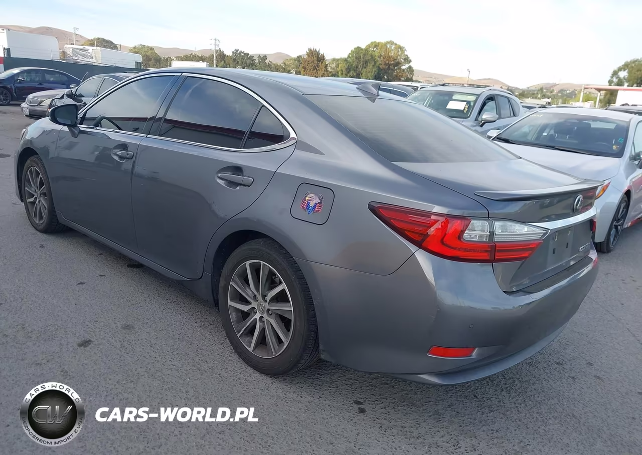 2018 Lexus Es 300H VIN:JTHBW1GG5J2171685 - 3