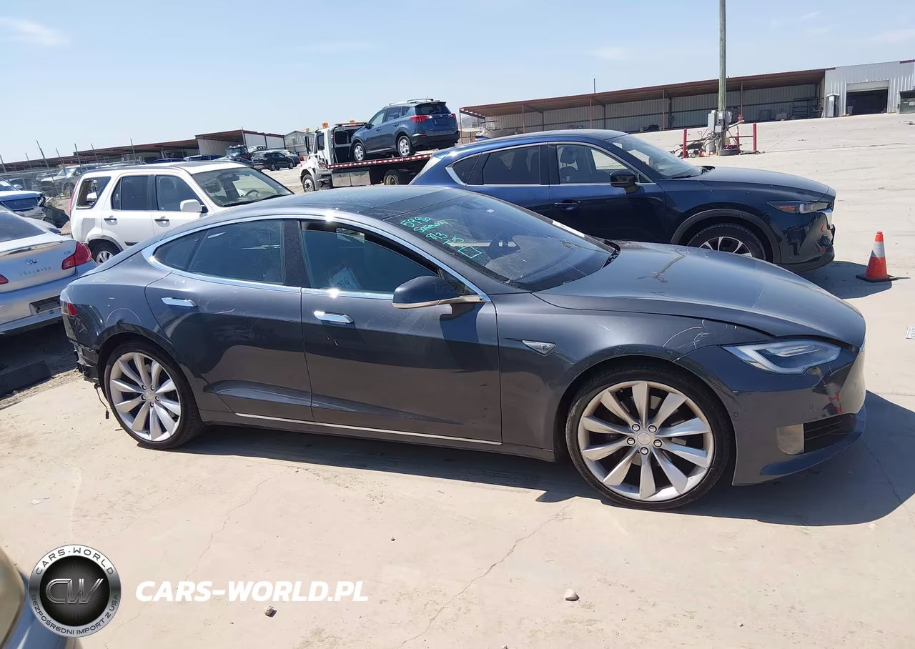 2016 Tesla Model S 60-70-75-85 VIN:5YJSA1E19GF161522 - 13