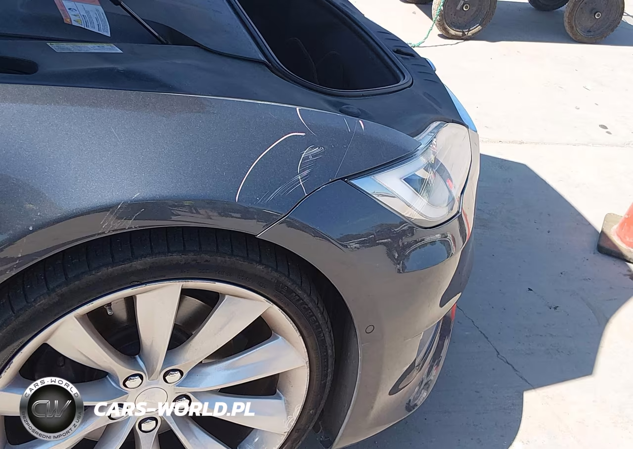2016 Tesla Model S 60-70-75-85 VIN:5YJSA1E19GF161522 - 23