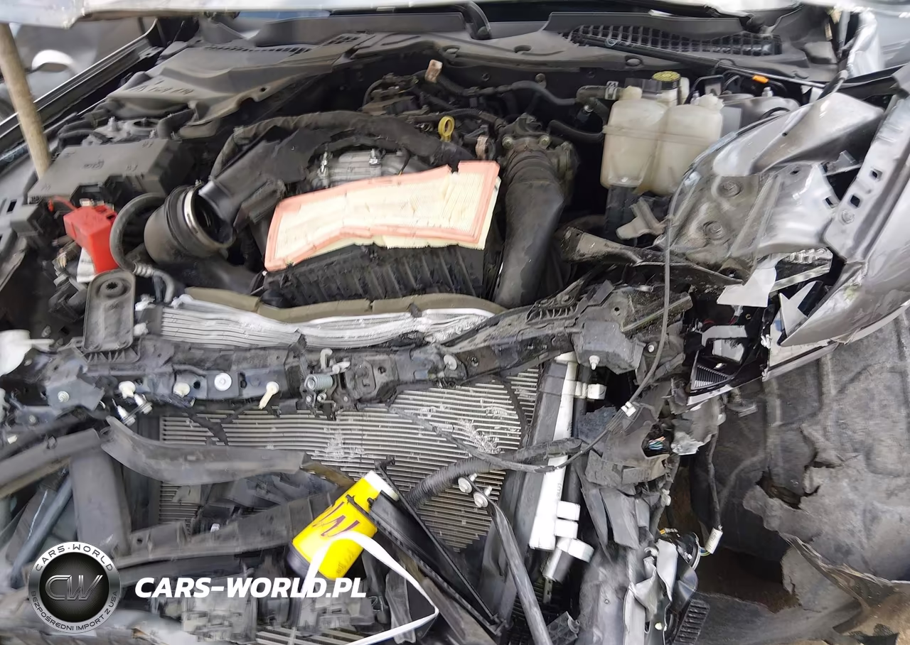 2024 Ford Mustang Ecoboost Fastback VIN:1FA6P8TH2R5143530 - 10