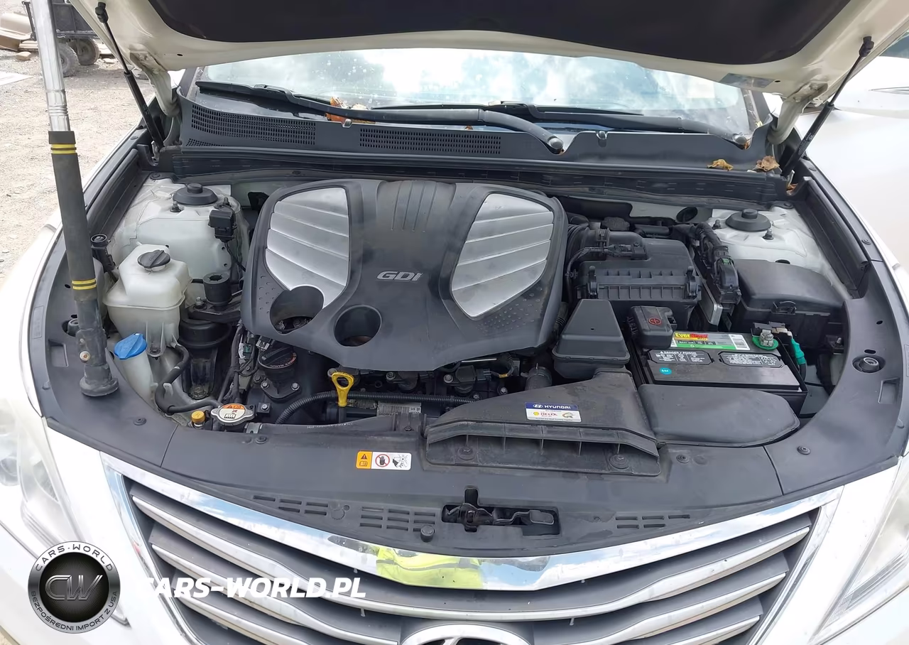2016 Hyundai Azera Limited VIN:KMHFH4JG8GA509128 - 10