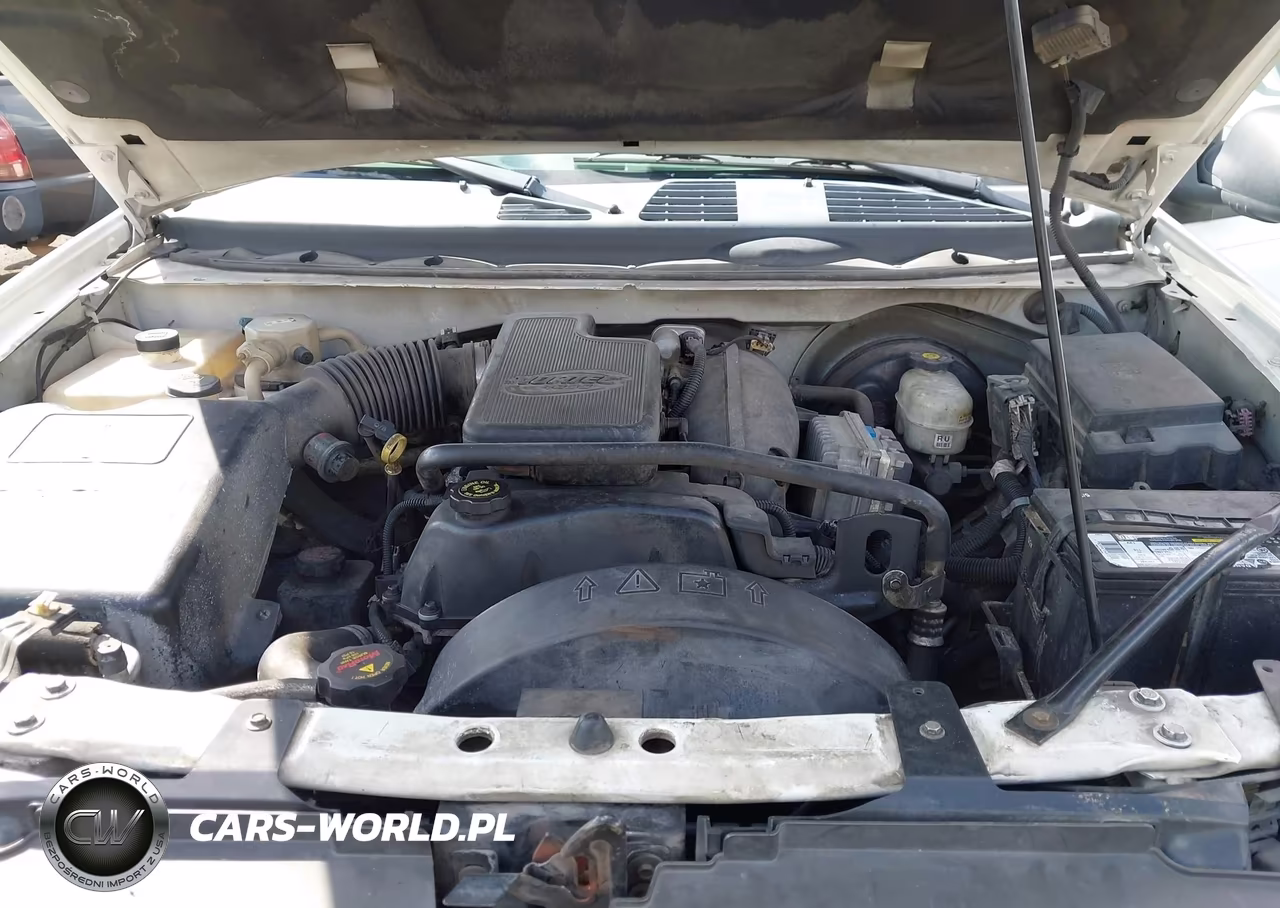 2002 Chevrolet Trailblazer Ls VIN:1GNDS13S422485983 - 10