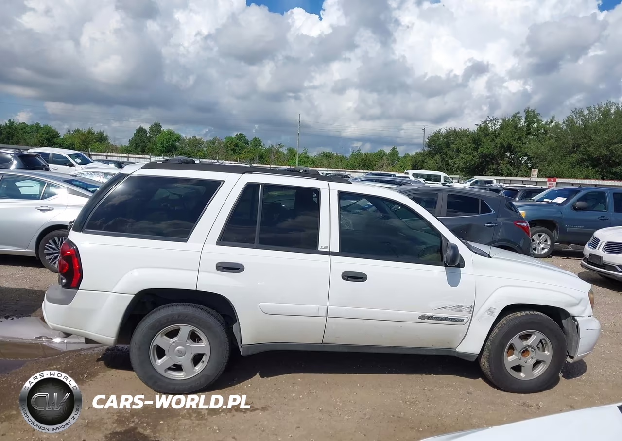 2002 Chevrolet Trailblazer Ls VIN:1GNDS13S422485983 - 13