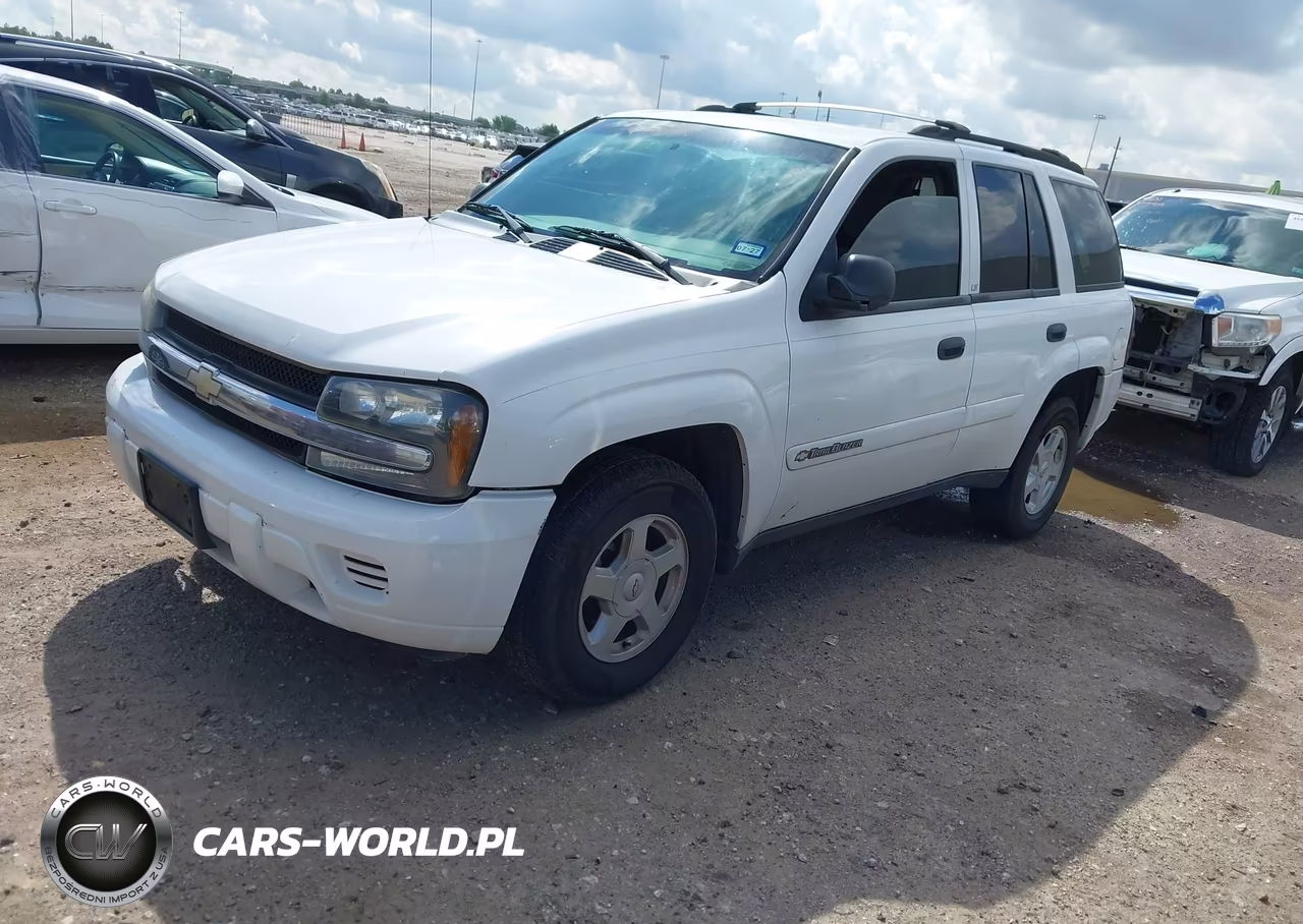 2002 Chevrolet Trailblazer Ls VIN:1GNDS13S422485983 - 2