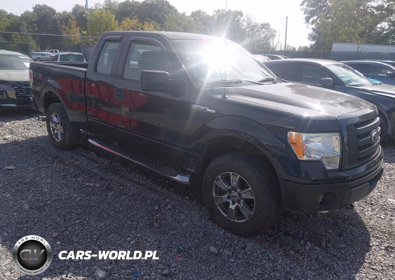 2010 Ford F-150 Stx-Xl
