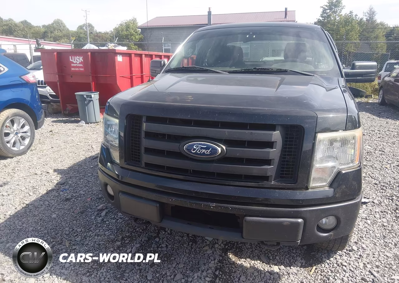 2010 Ford F-150 Stx-Xl VIN:1FTEX1EW0AFC90078 - 12