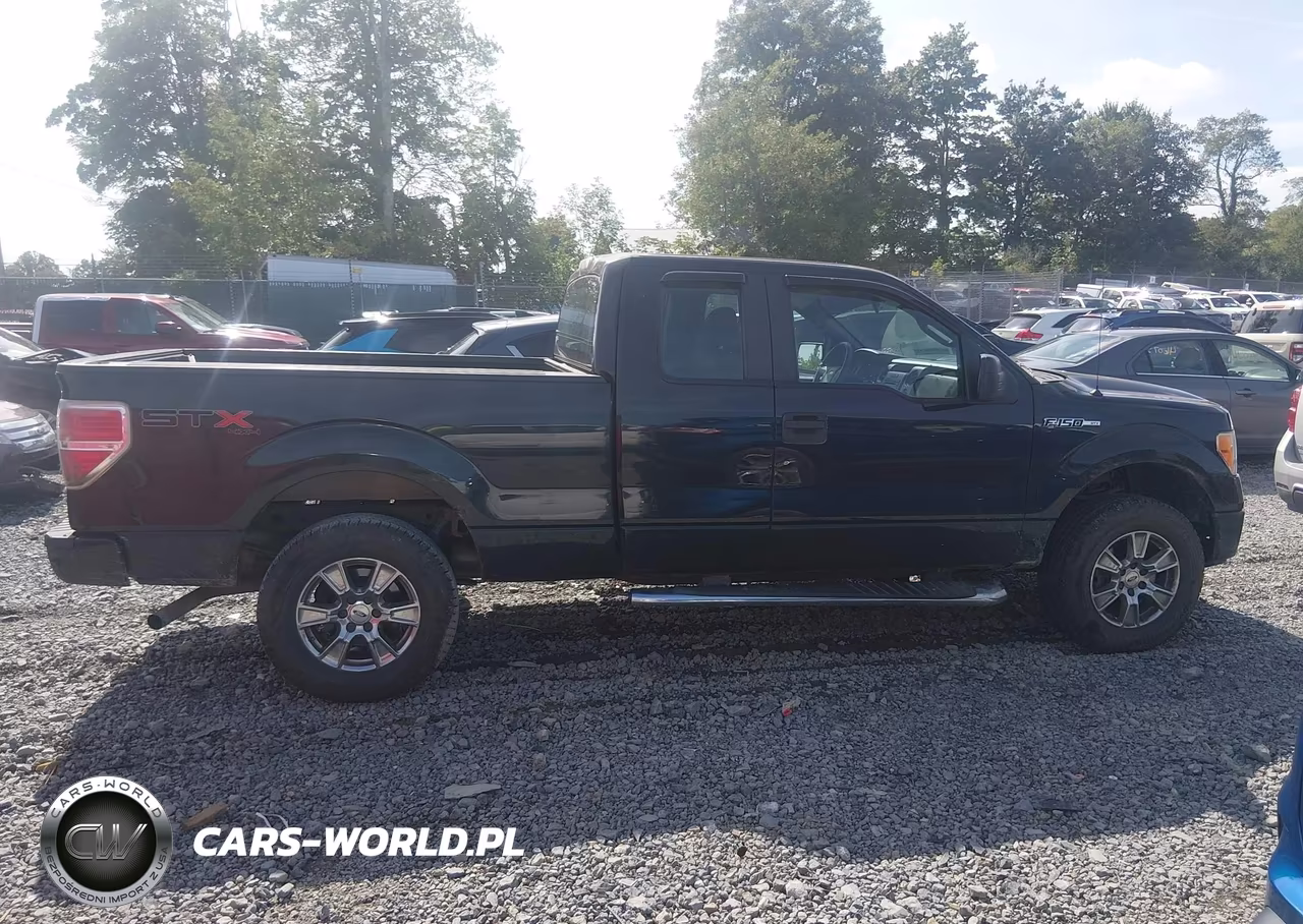 2010 Ford F-150 Stx-Xl VIN:1FTEX1EW0AFC90078 - 13