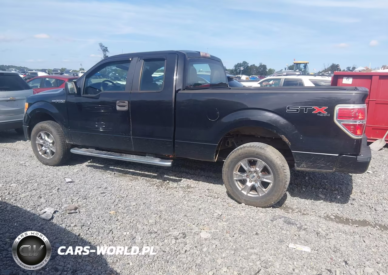 2010 Ford F-150 Stx-Xl VIN:1FTEX1EW0AFC90078 - 14