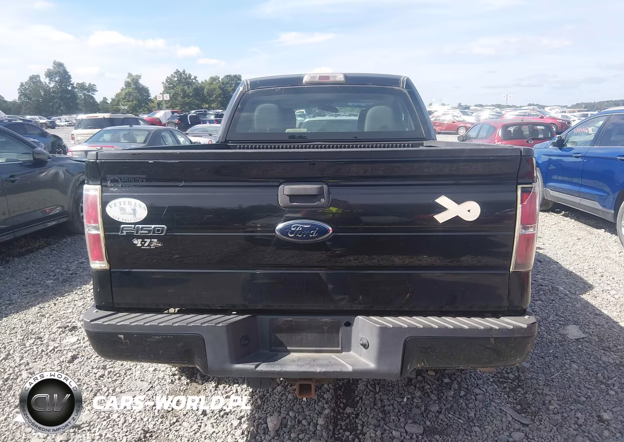 2010 Ford F-150 Stx-Xl VIN:1FTEX1EW0AFC90078 - 16
