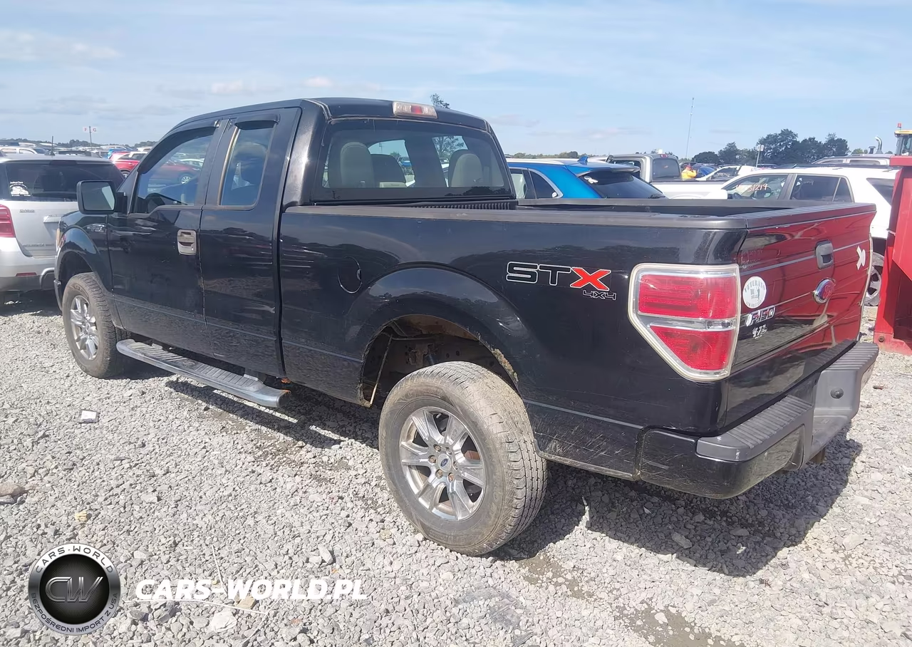2010 Ford F-150 Stx-Xl VIN:1FTEX1EW0AFC90078 - 3
