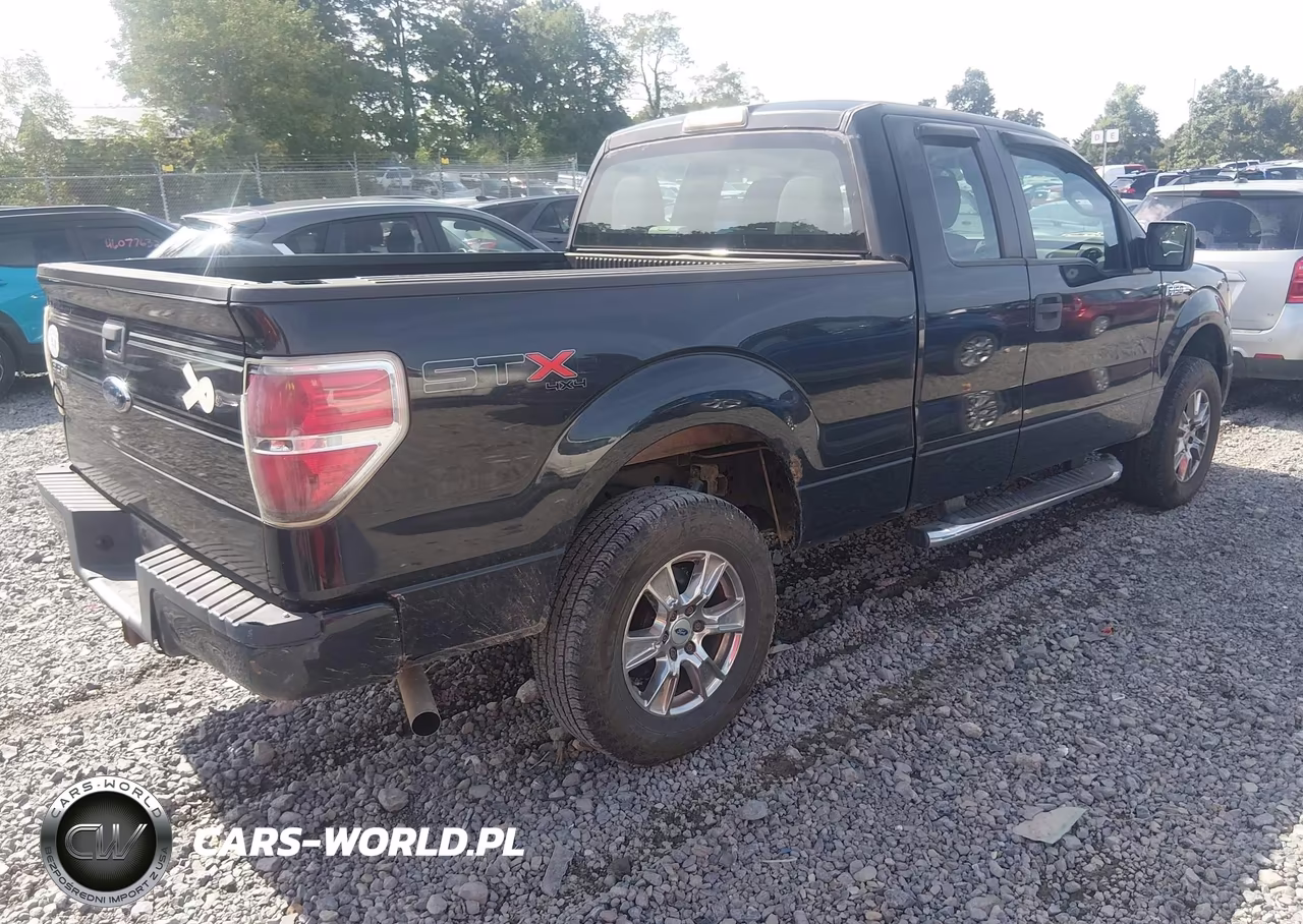 2010 Ford F-150 Stx-Xl VIN:1FTEX1EW0AFC90078 - 4