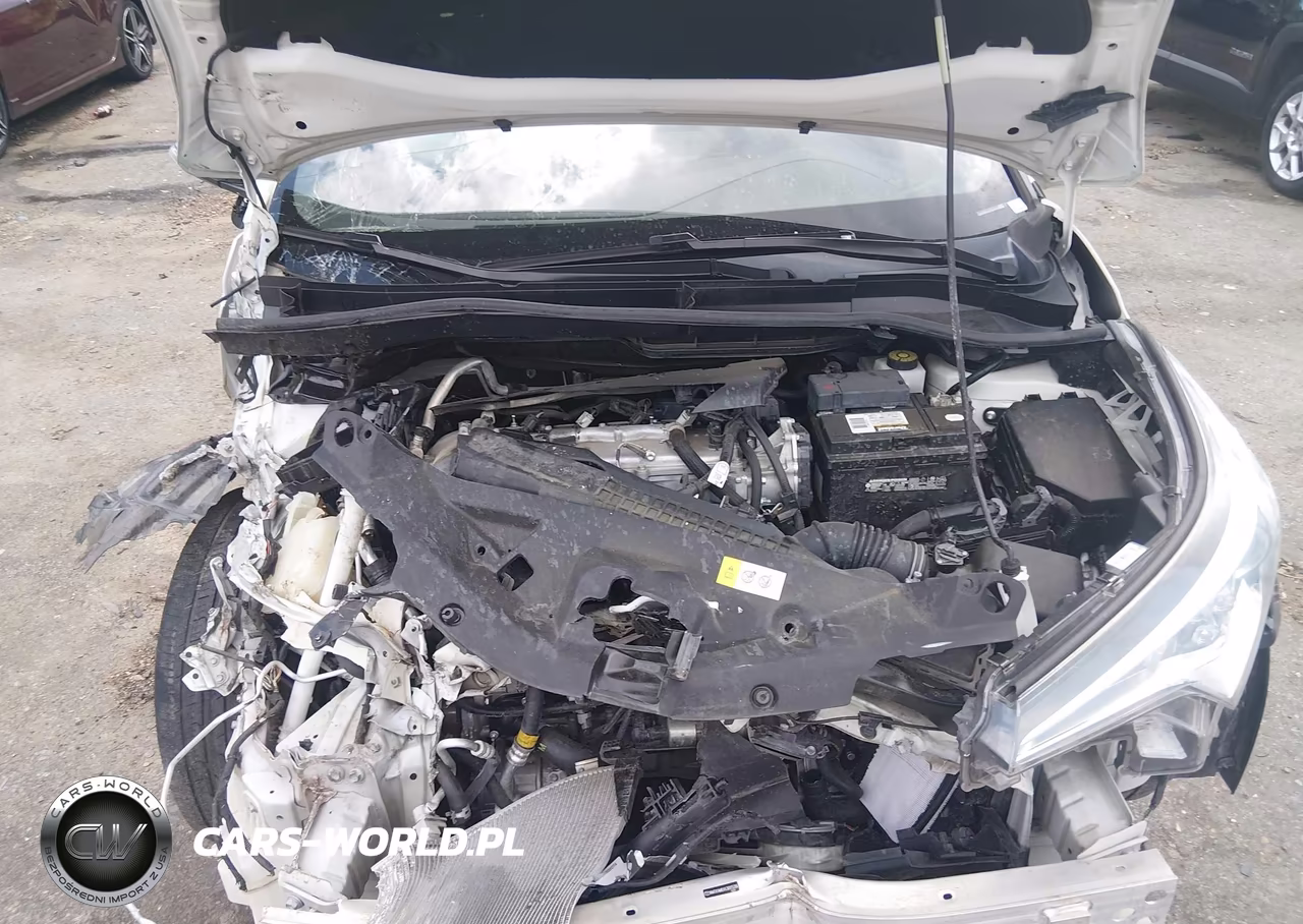 2018 Toyota C-Hr Xle VIN:NMTKHMBX6JR013206 - 10