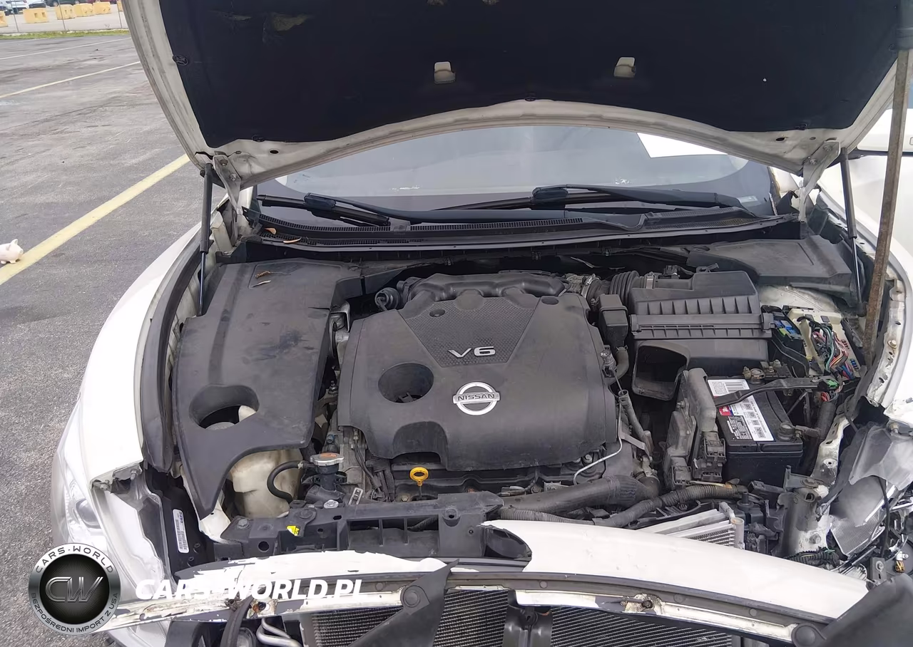 2014 Nissan Maxima 3.5 Sv VIN:1N4AA5AP1EC479311 - 10