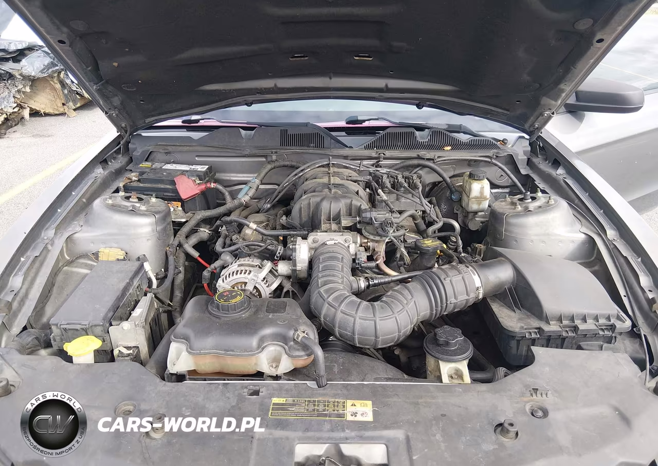 2010 Ford Mustang V6-V6 Premium VIN:1ZVBP8AN1A5106312 - 10