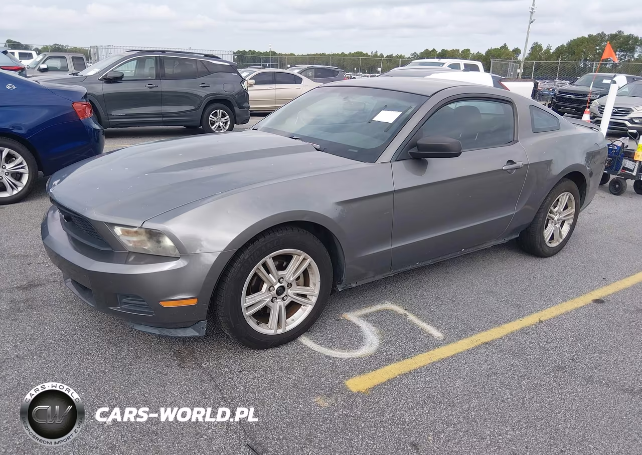 2010 Ford Mustang V6-V6 Premium VIN:1ZVBP8AN1A5106312 - 2