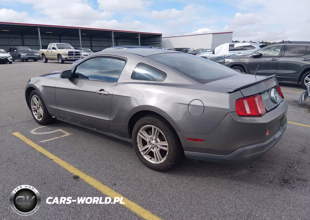 2010 Ford Mustang V6-V6 Premium VIN:1ZVBP8AN1A5106312 - 3