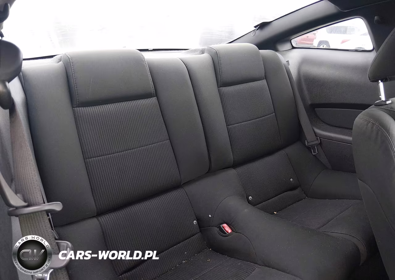 2010 Ford Mustang V6-V6 Premium VIN:1ZVBP8AN1A5106312 - 8