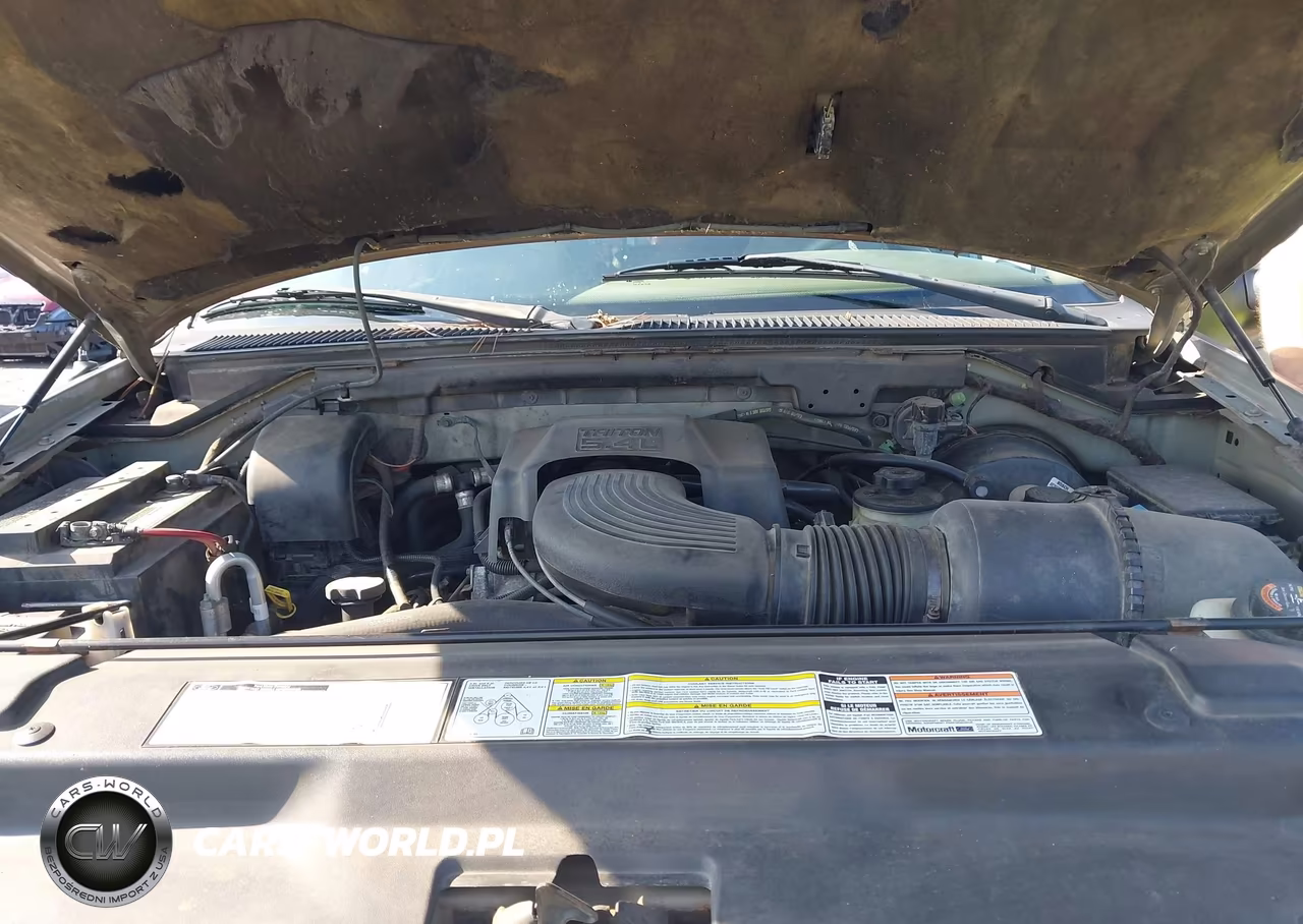 1999 Ford Expedition Eddie Bauer-Xlt VIN:1FMPU18L6XLC08590 - 10