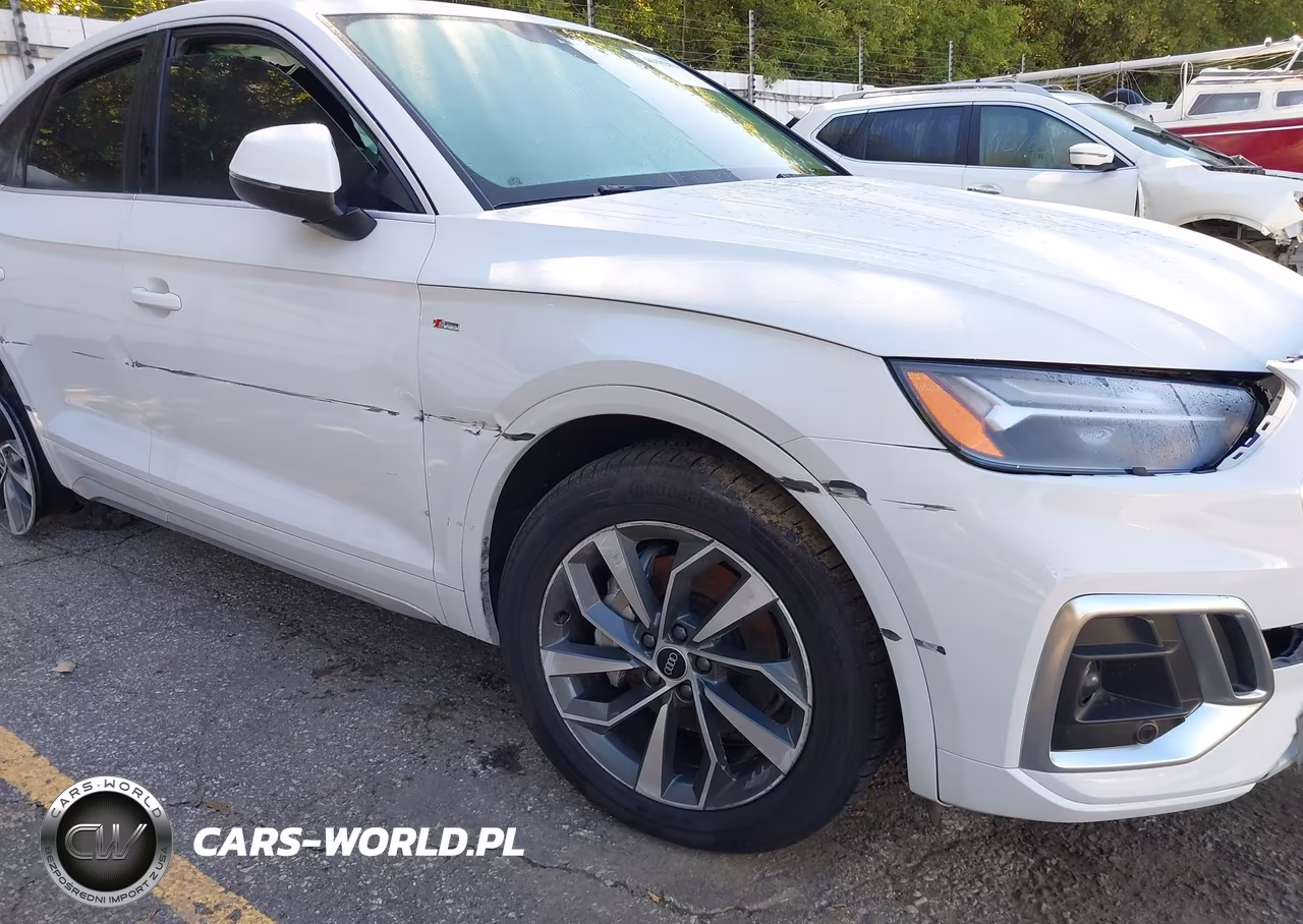 2021 Audi Q5 Sportback Premium Plus 45 Tfsi Quattro S Tronic VIN:WA15AAFY6M2083380 - 12