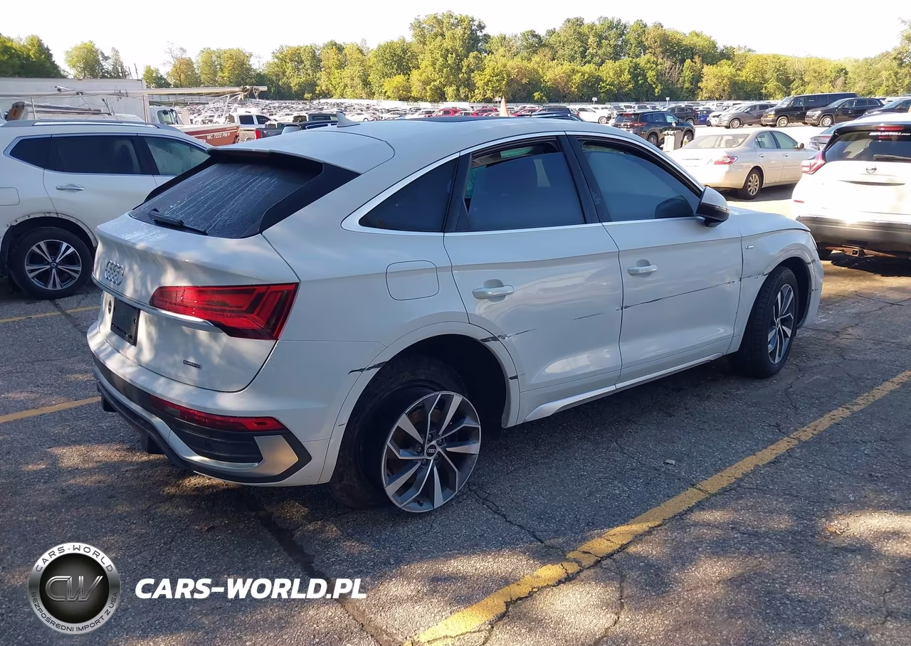 2021 Audi Q5 Sportback Premium Plus 45 Tfsi Quattro S Tronic VIN:WA15AAFY6M2083380 - 4