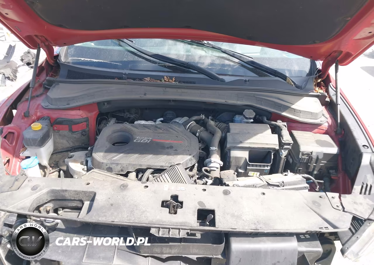 2019 Hyundai Santa Fe Ultimate 2.0T VIN:5NMS5CAA9KH136486 - 10