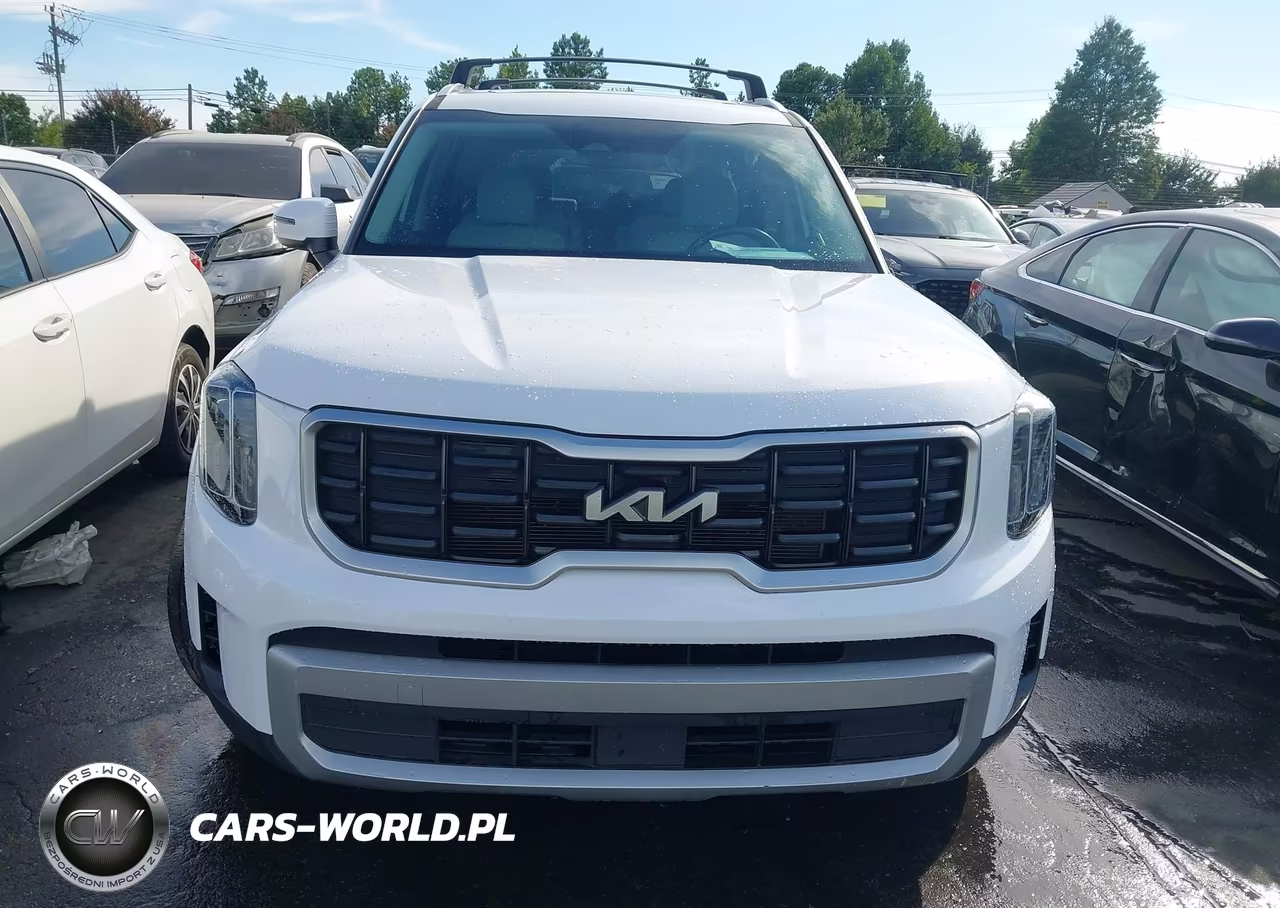 2024 Kia Telluride S VIN:5XYP64GC7RG489895 - 12