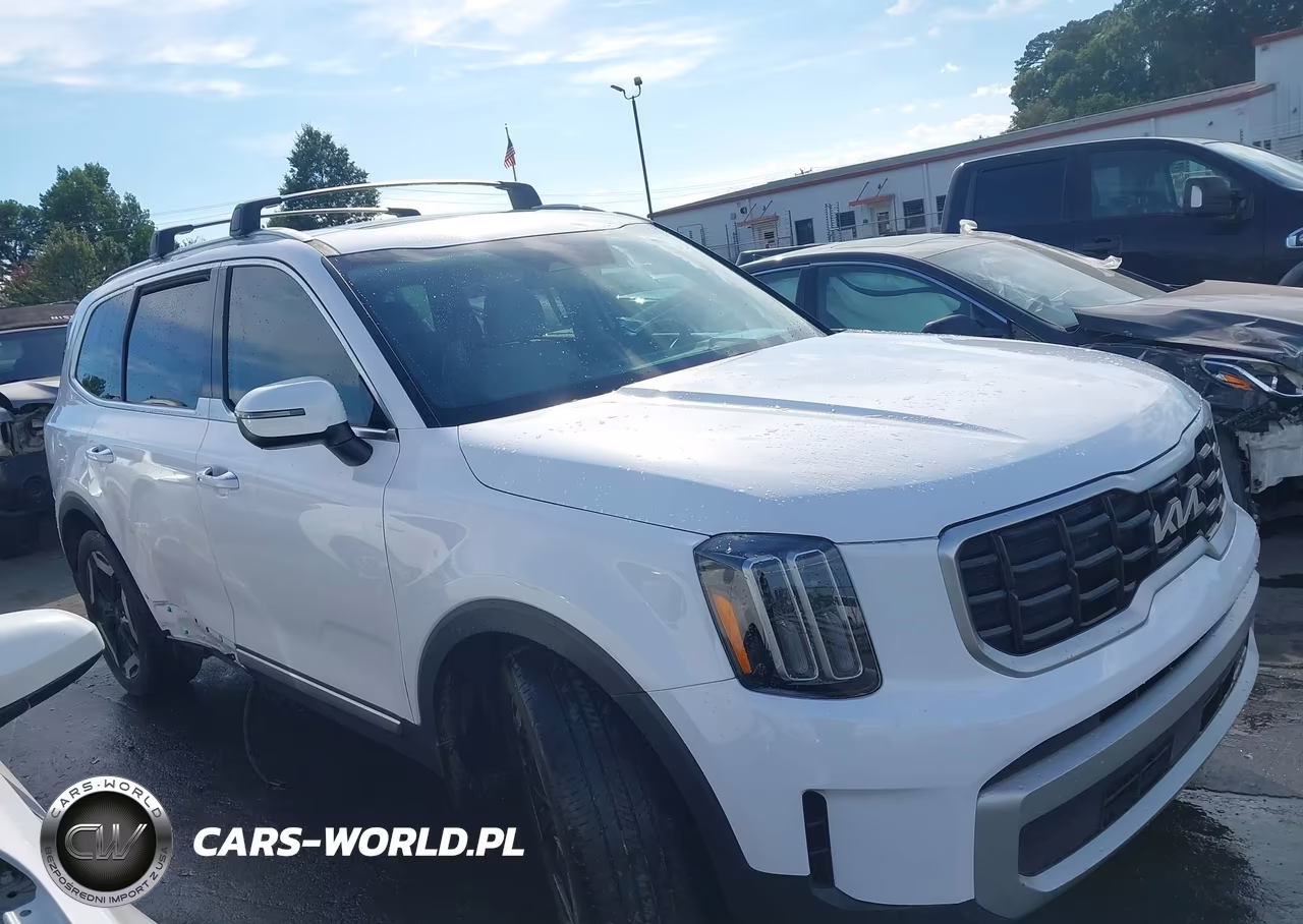 2024 Kia Telluride S VIN:5XYP64GC7RG489895 - 13
