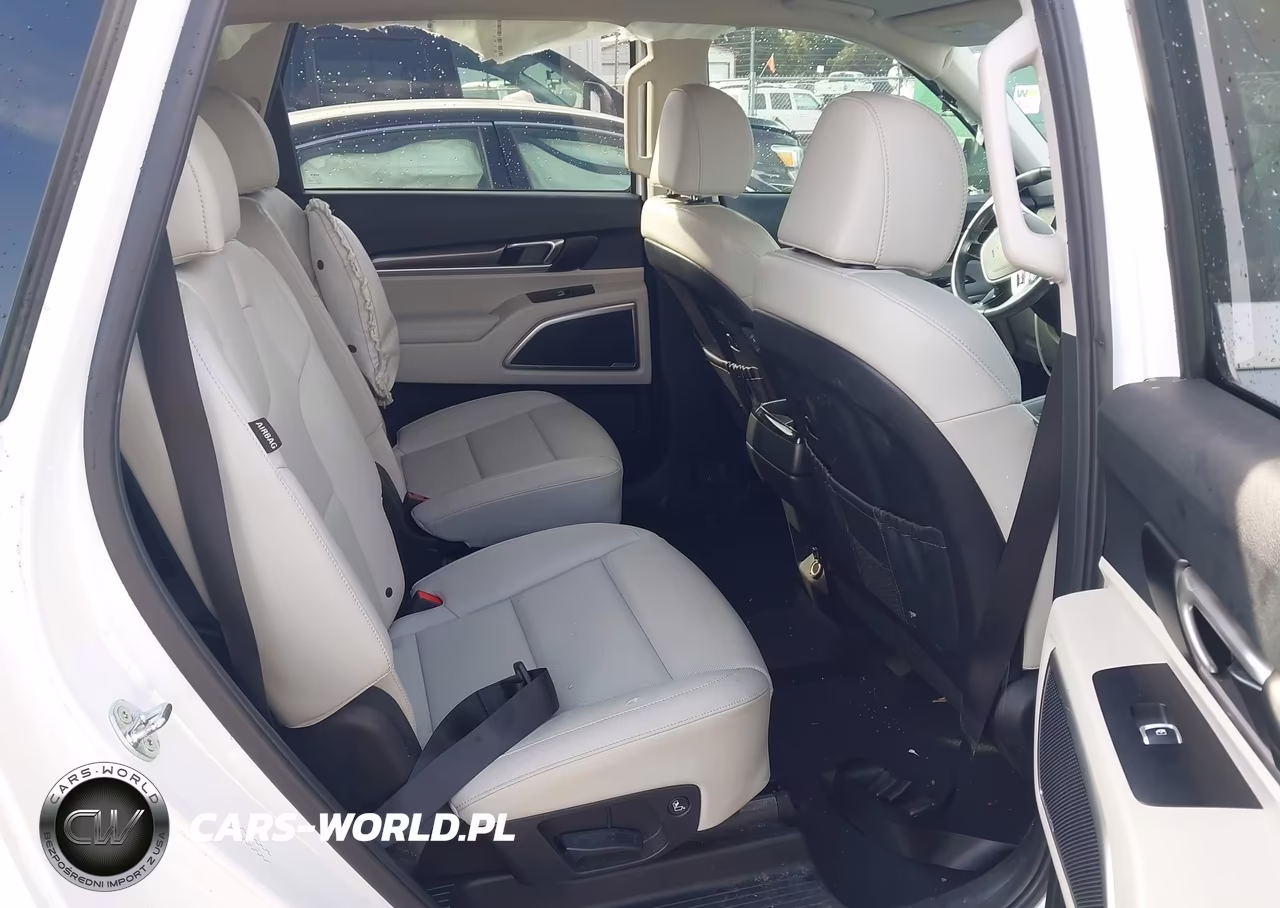 2024 Kia Telluride S VIN:5XYP64GC7RG489895 - 8
