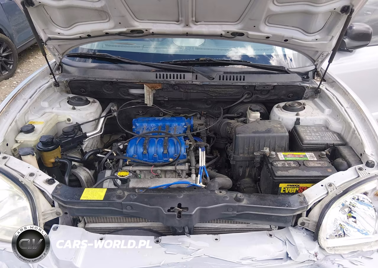 2003 Hyundai Santa Fe Gls-Lx VIN:KM8SC13DX3U468086 - 10