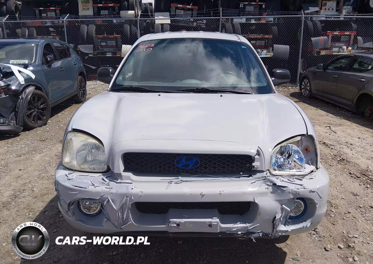 2003 Hyundai Santa Fe Gls-Lx VIN:KM8SC13DX3U468086 - 12