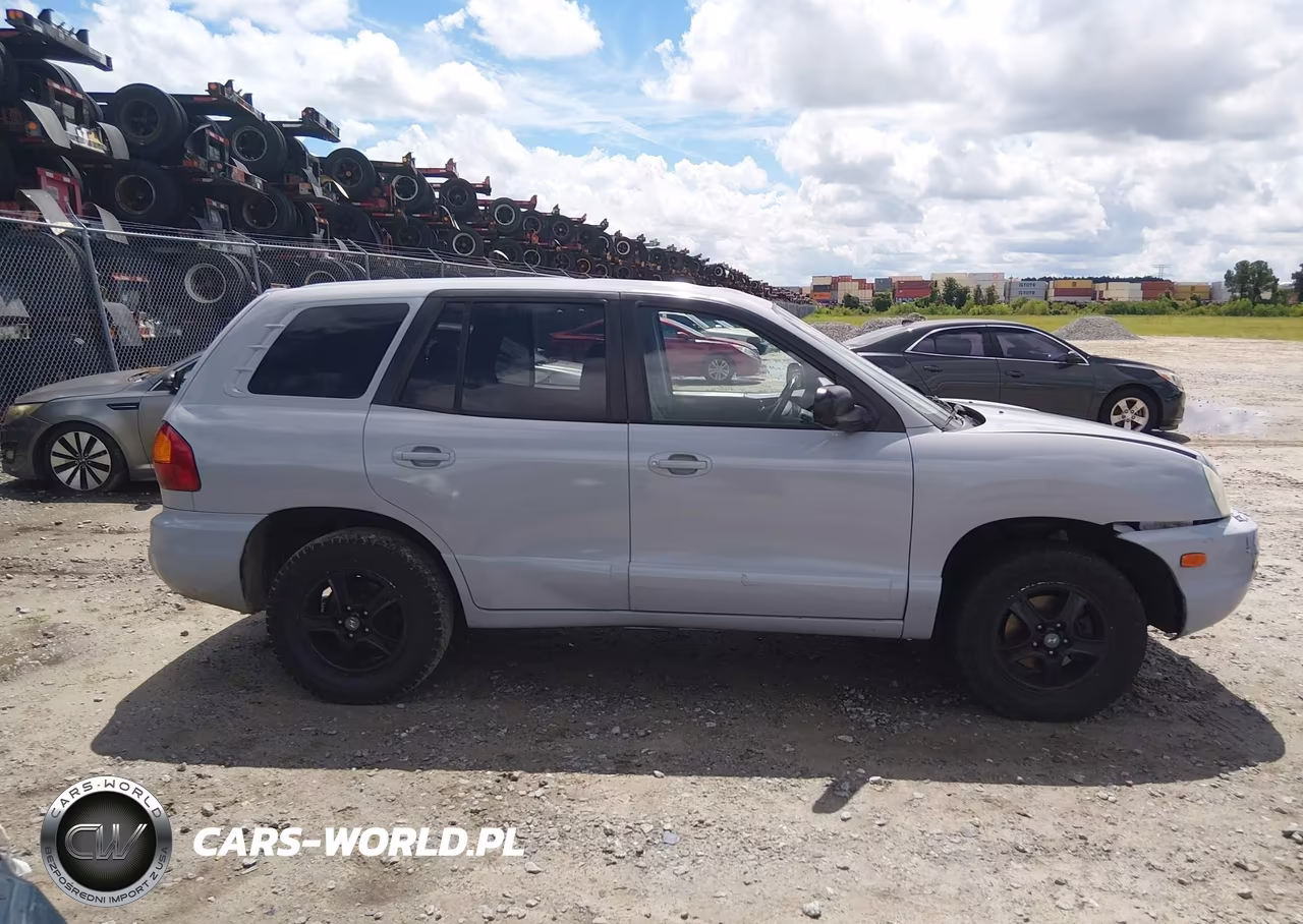 2003 Hyundai Santa Fe Gls-Lx VIN:KM8SC13DX3U468086 - 13