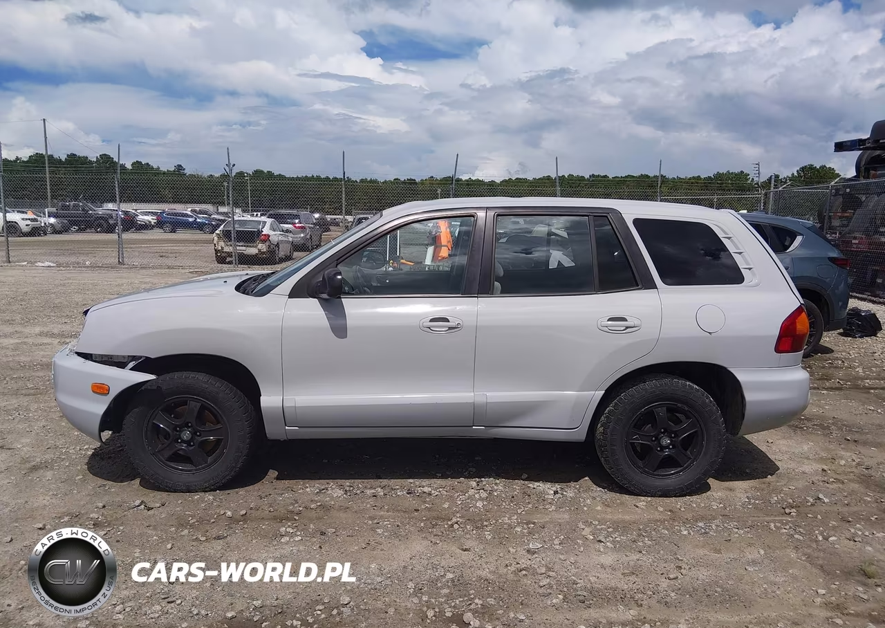 2003 Hyundai Santa Fe Gls-Lx VIN:KM8SC13DX3U468086 - 14
