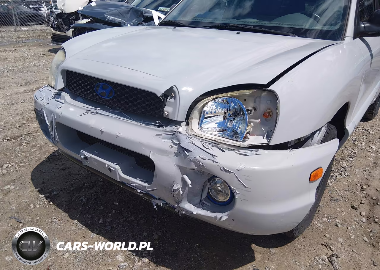 2003 Hyundai Santa Fe Gls-Lx VIN:KM8SC13DX3U468086 - 6