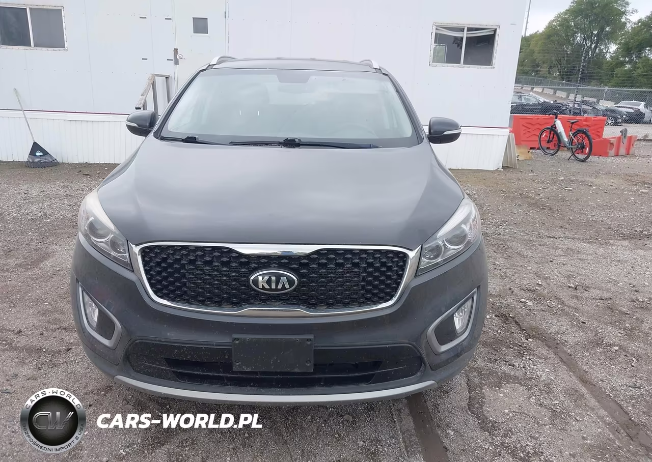 2016 Kia Sorento 3.3L Ex VIN:5XYPH4A55GG162428 - 12