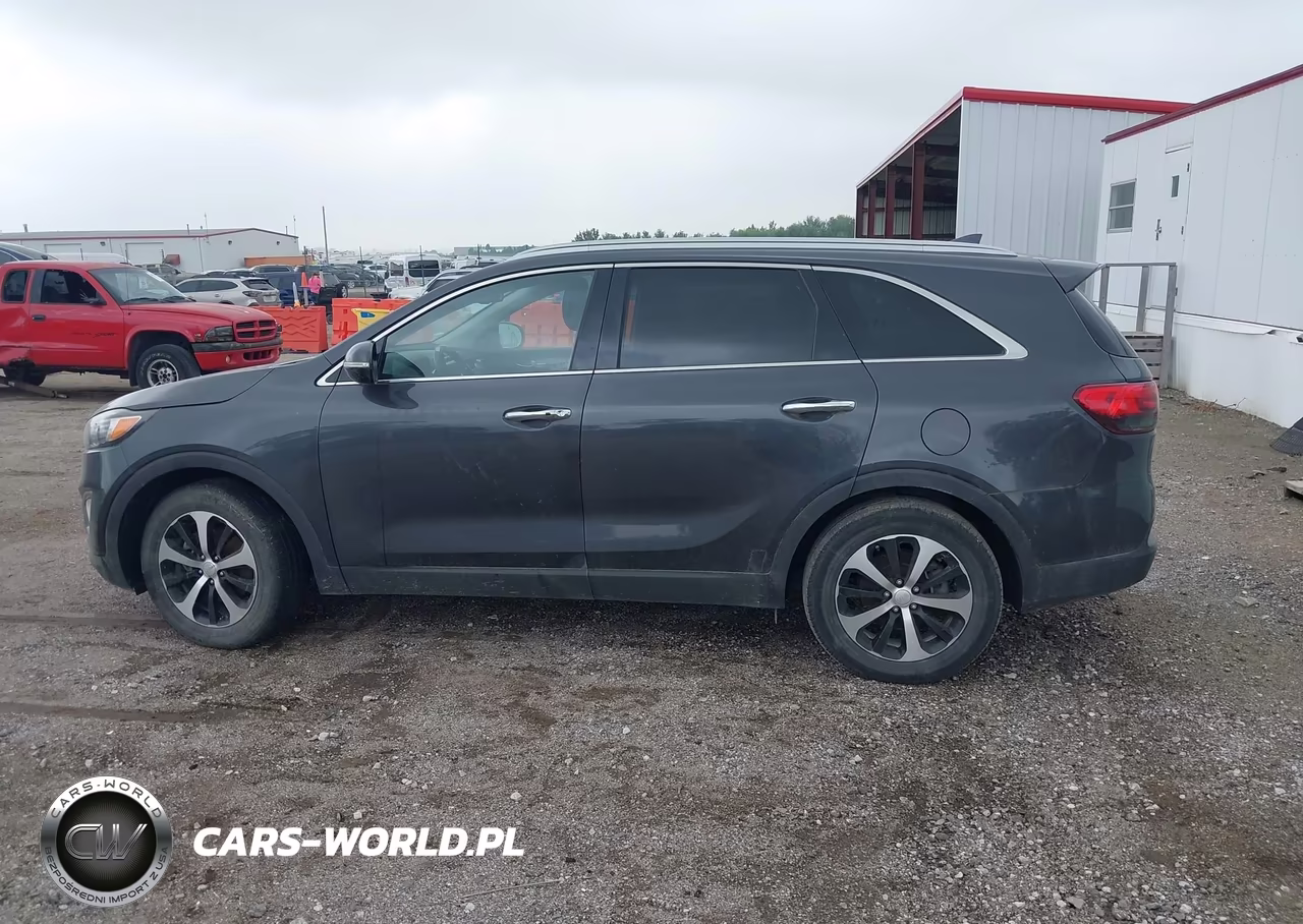 2016 Kia Sorento 3.3L Ex VIN:5XYPH4A55GG162428 - 14