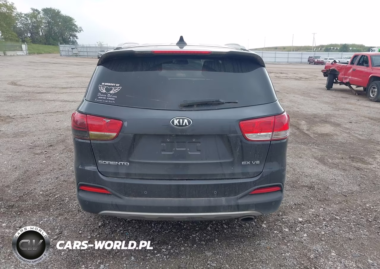 2016 Kia Sorento 3.3L Ex VIN:5XYPH4A55GG162428 - 16