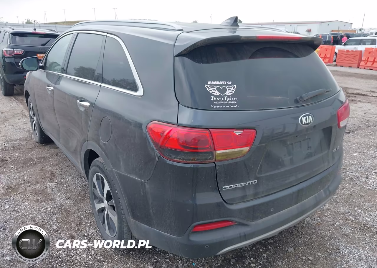 2016 Kia Sorento 3.3L Ex VIN:5XYPH4A55GG162428 - 18