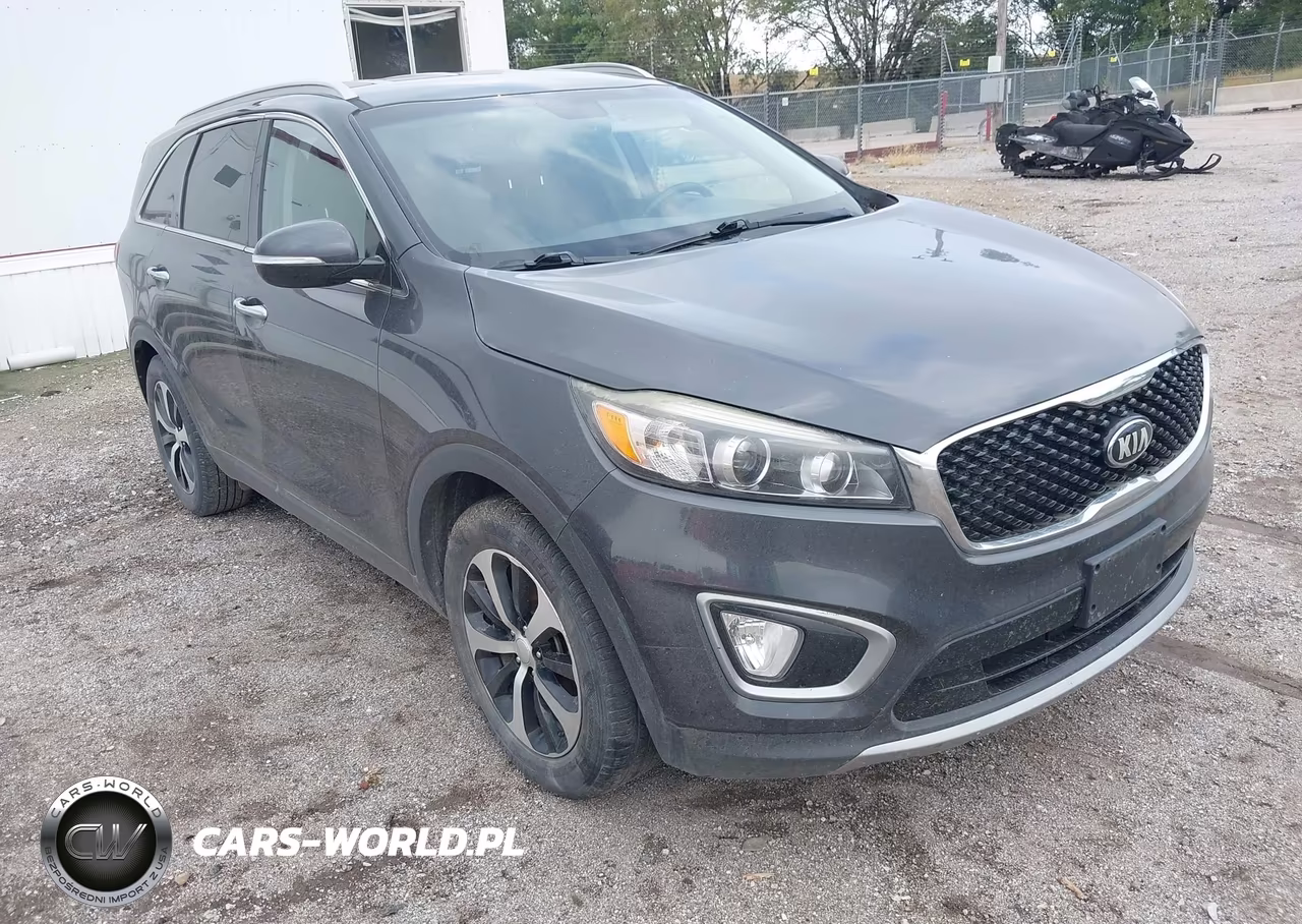 2016 Kia Sorento 3.3L Ex VIN:5XYPH4A55GG162428 - 20