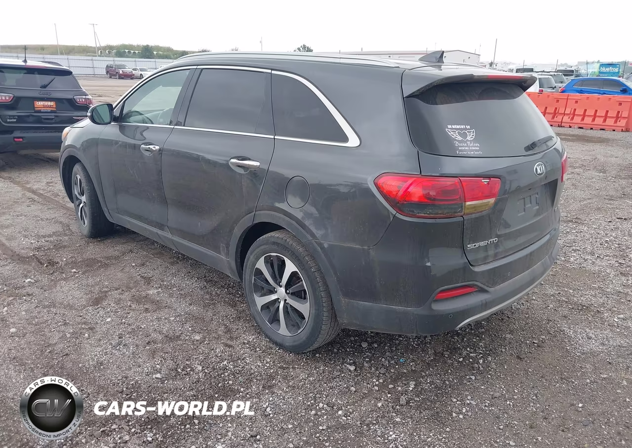 2016 Kia Sorento 3.3L Ex VIN:5XYPH4A55GG162428 - 3