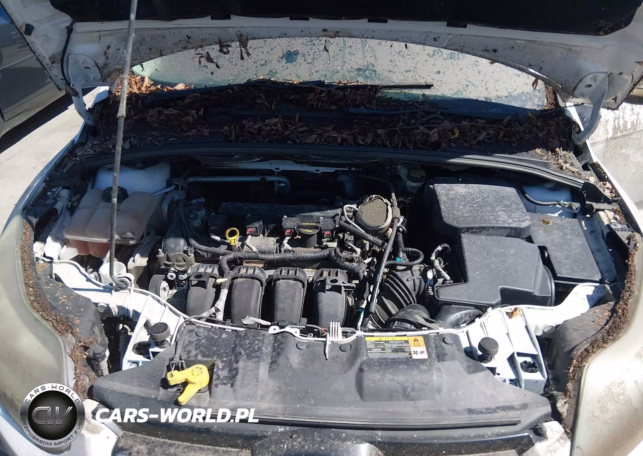 2014 Ford Focus Titanium VIN:1FADP3N20EL169939 - 10