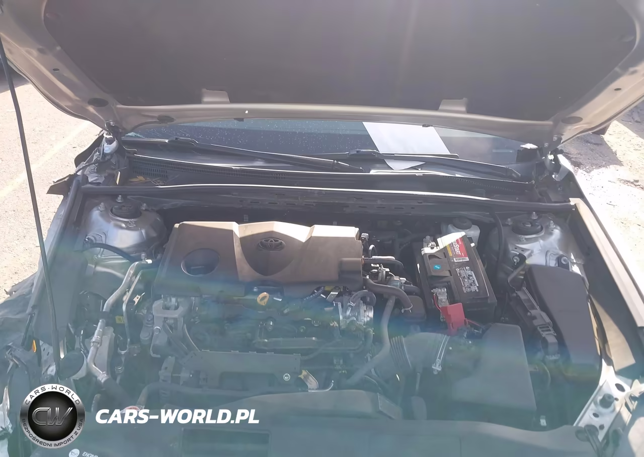 2021 Toyota Camry Se VIN:4T1G11AK9MU560885 - 10