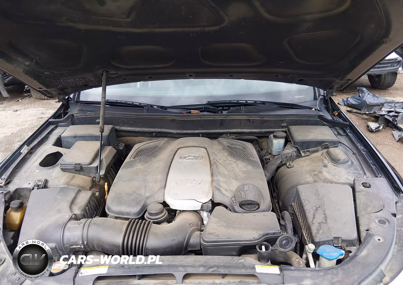 2010 Hyundai Genesis 4.6 VIN:KMHGC4DF2AU072237 - 10