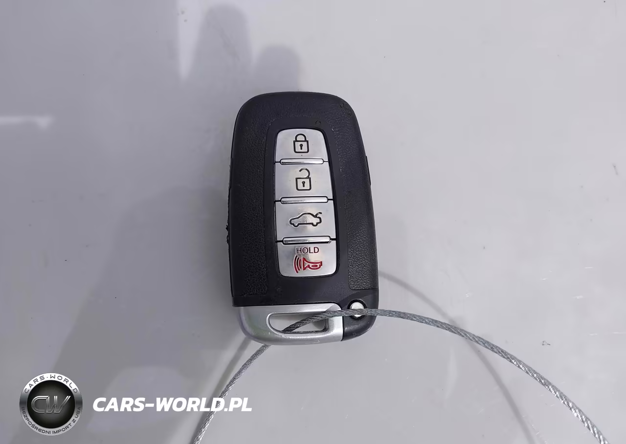2010 Hyundai Genesis 4.6 VIN:KMHGC4DF2AU072237 - 11