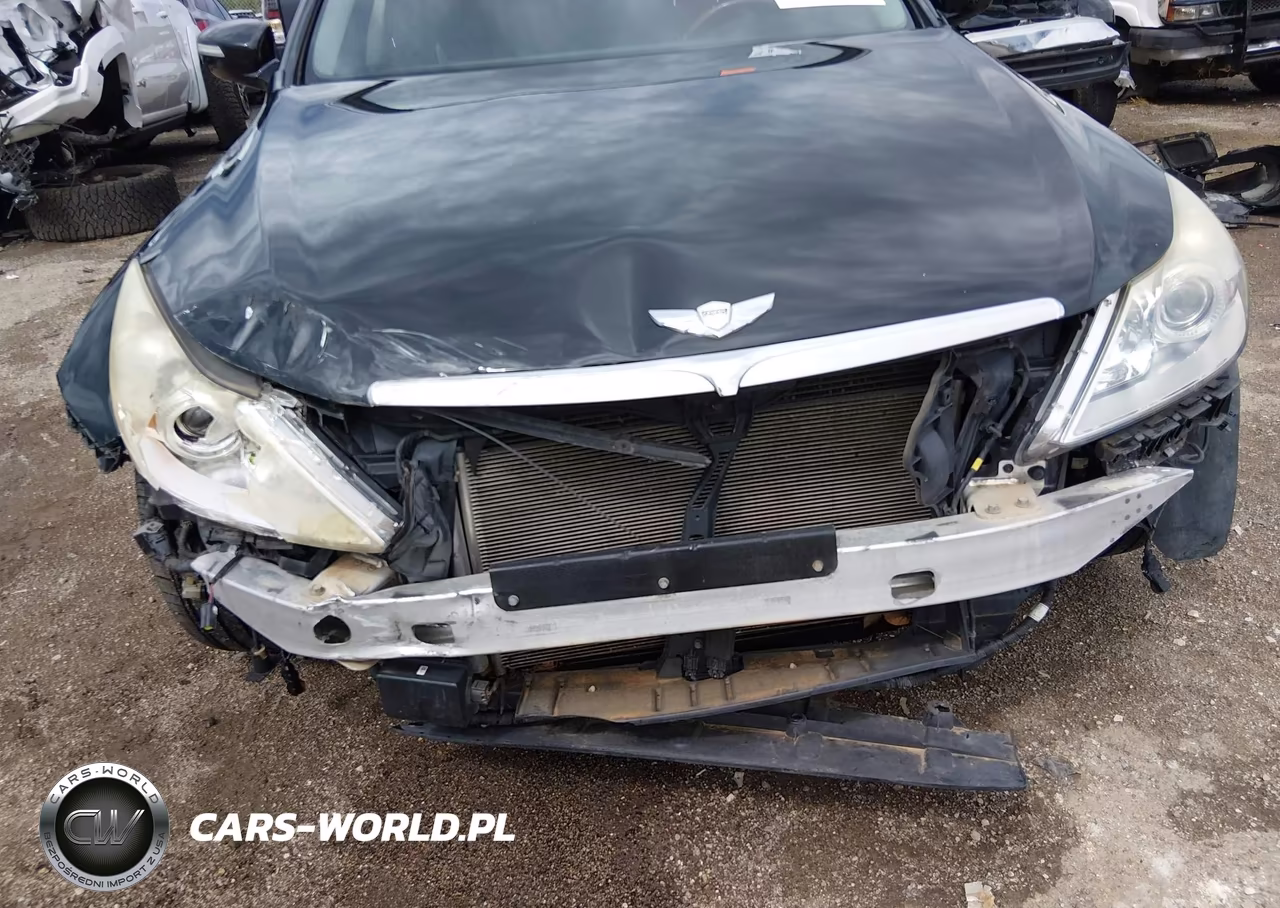 2010 Hyundai Genesis 4.6 VIN:KMHGC4DF2AU072237 - 6
