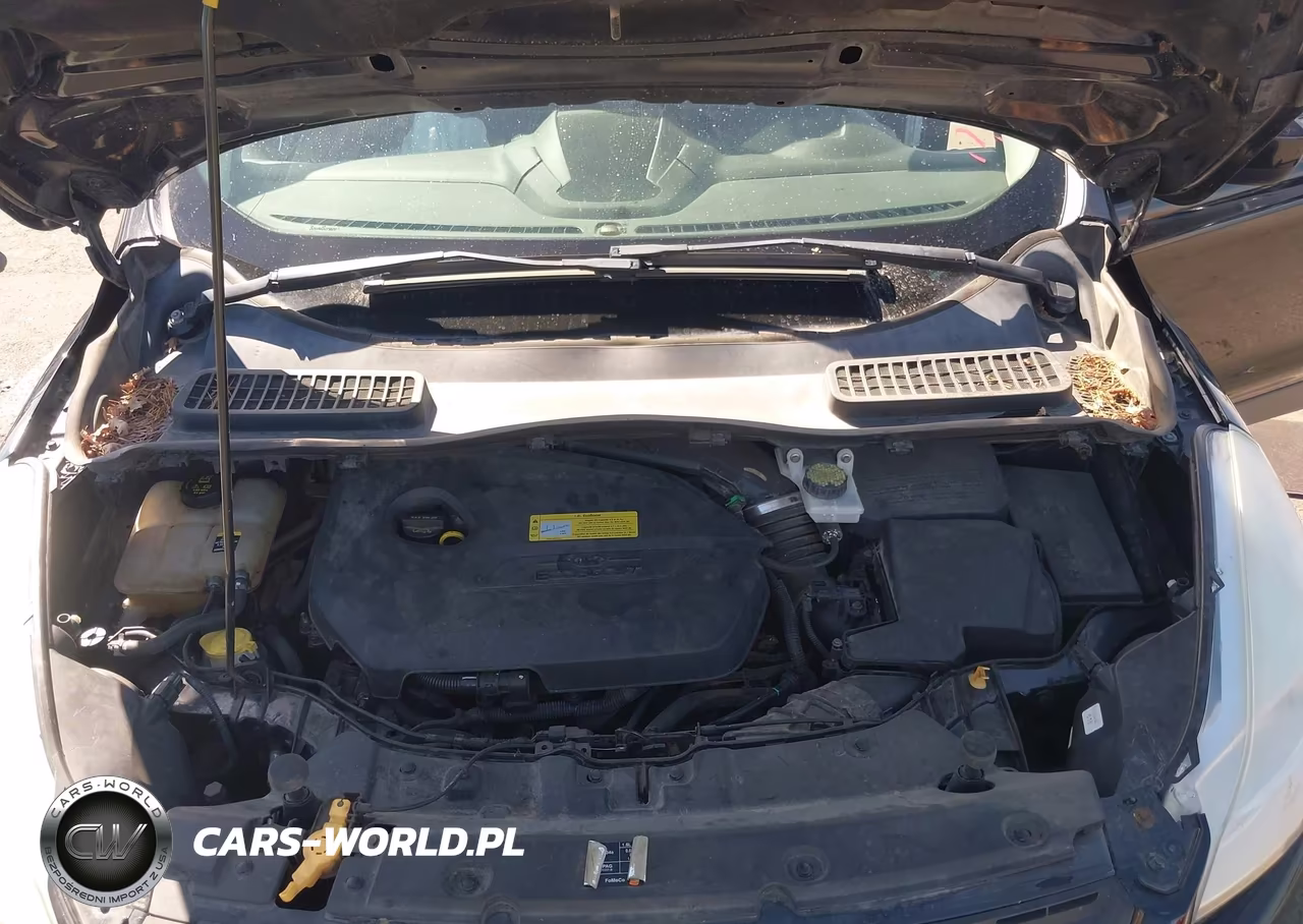 2013 Ford Escape Se VIN:1FMCU0GX0DUA21140 - 10
