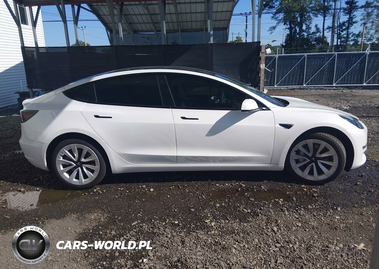 2023 Tesla Model 3 Rear-Wheel Drive VIN:5YJ3E1EA4PF626412 - 11