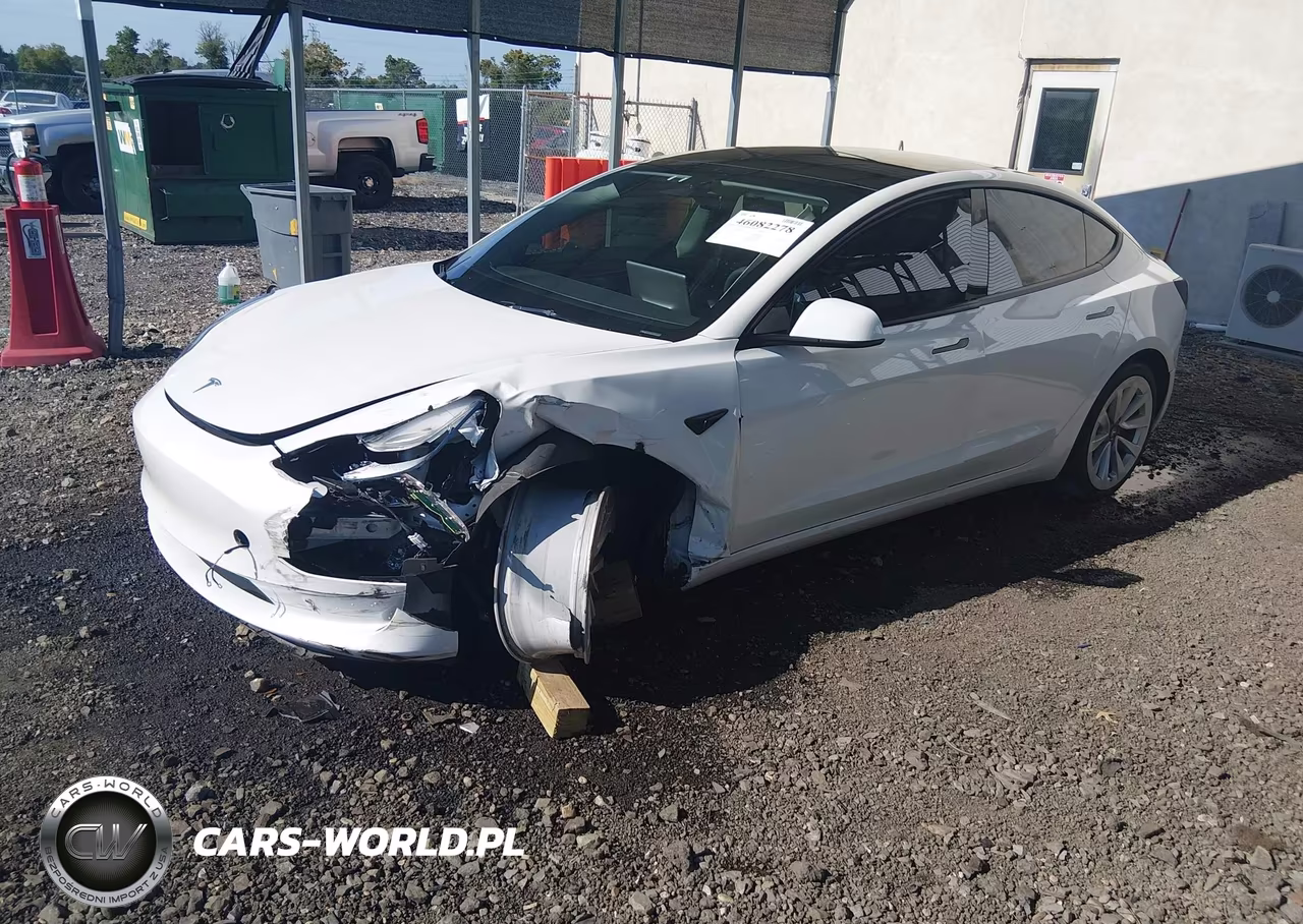 2023 Tesla Model 3 Rear-Wheel Drive VIN:5YJ3E1EA4PF626412 - 2