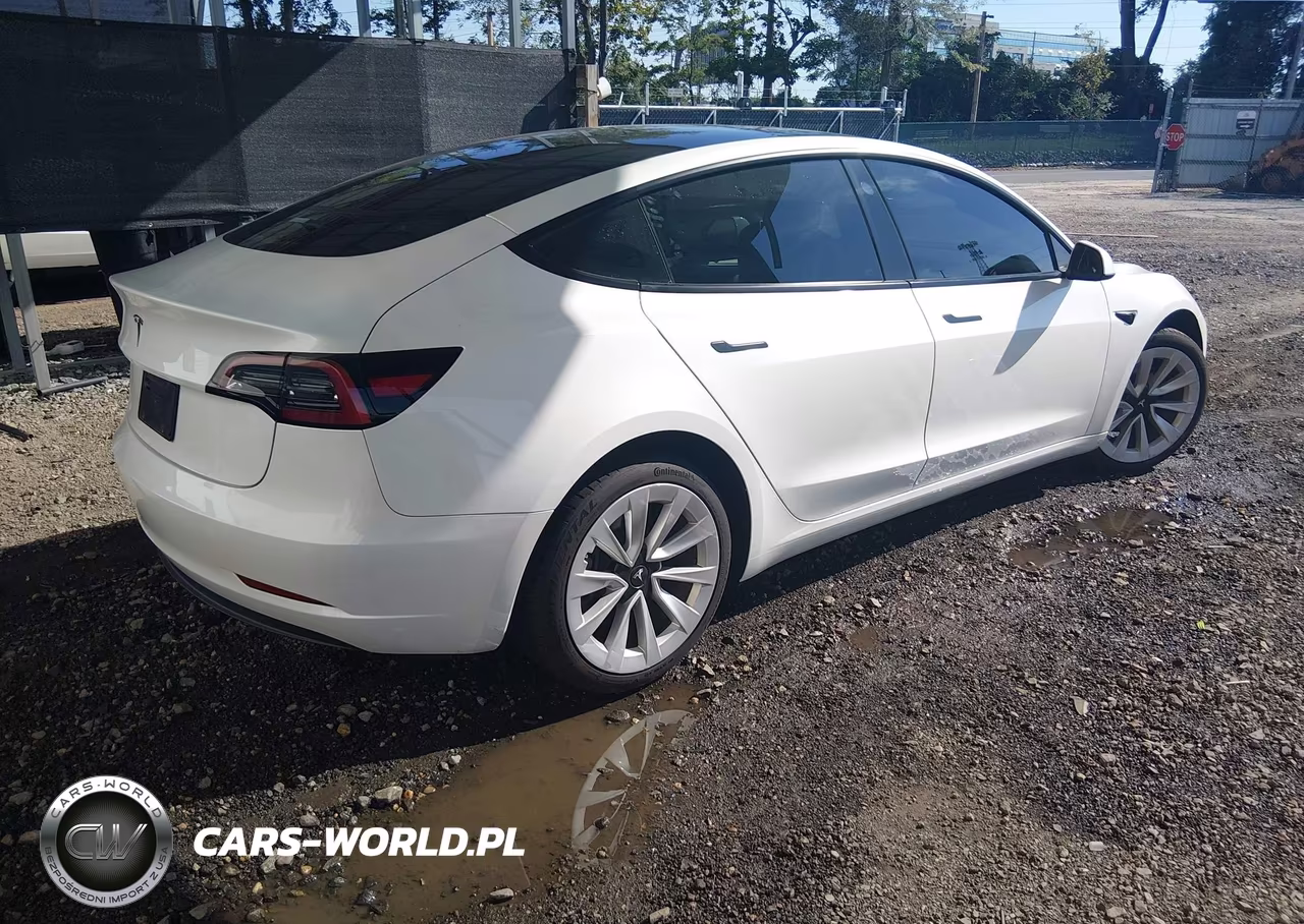 2023 Tesla Model 3 Rear-Wheel Drive VIN:5YJ3E1EA4PF626412 - 4