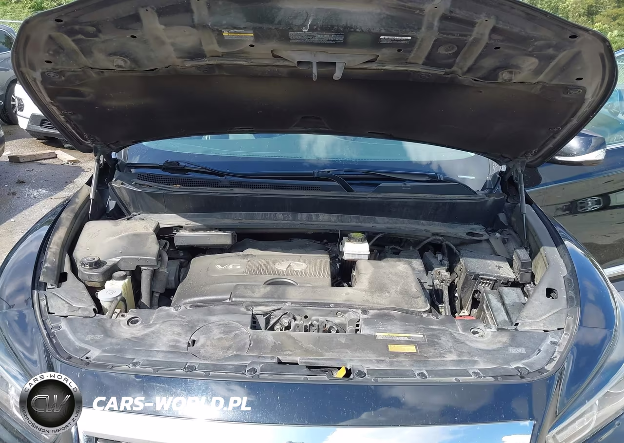 2020 Infiniti Qx60 Pure VIN:5N1DL0MN0LC537674 - 10