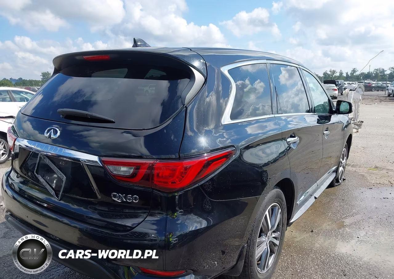 2020 Infiniti Qx60 Pure VIN:5N1DL0MN0LC537674 - 4